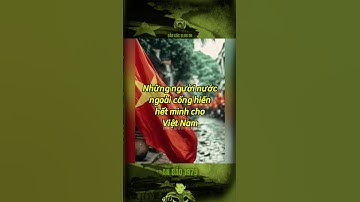 NHỮNG NGƯỜI NƯỚC NGOÀI CỐNG HIẾN HẾT MÌNH CHO VIỆT NAM… #bảocóc #bảocócvlog #baococvlogboss #shorts