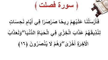 سورة فصلت الأية 16