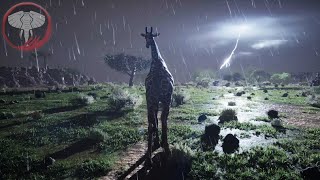 Becoming a Elder Giraffe | Animalia Survival