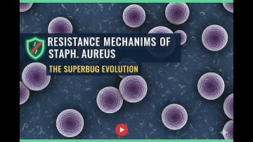 Resistance Mechanisms of Staphylococcus aureus