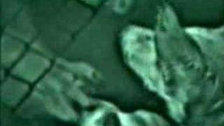 Watch Moist Underground video