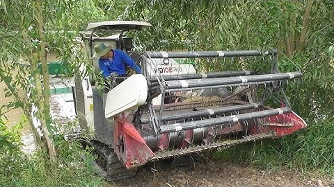 máy cắt lúa 102 lên phà cắt lúa 504 rất nhanh tập 46#maibangtv