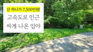 [매매] 횡성군 공근면 매곡리, 산 하나가 7500만원 고속도로 인근 싸게 나온 임야 [601]