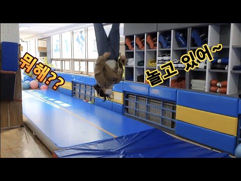 놀면서 수련하기~^^(특공무술&amp;<strong>amp</strong>;합기도) Playing <strong>around</strong> and practicing martial arts