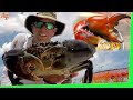 Mud Crabs with Barramundi Catch n Cook Smoker in Bush Kitchen EP.428