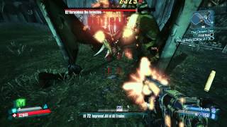 Vorac OP8