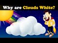 Why do Clouds appear White? + more videos | #aumsum #kids #science #education #whatif