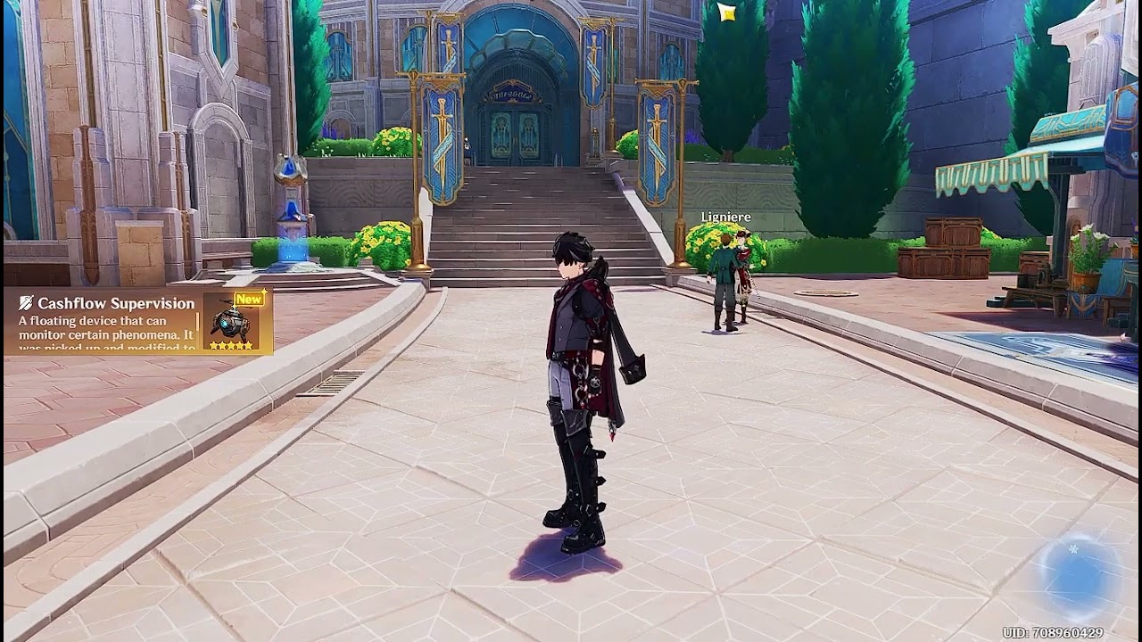 5.4 Genshin - Wriothesley pulls