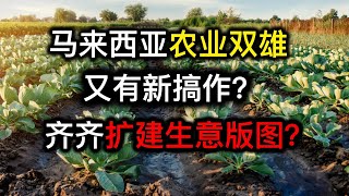 股票投资 | 大马股票 | Hextar 与 Ancom 又有新搞作？齐齐扩建生意版图？ |【乐学成长空间】