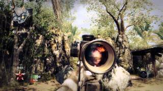 First Black Ops Collateral Back