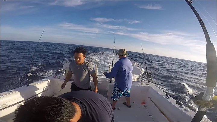 THEN CAME THE SHARK