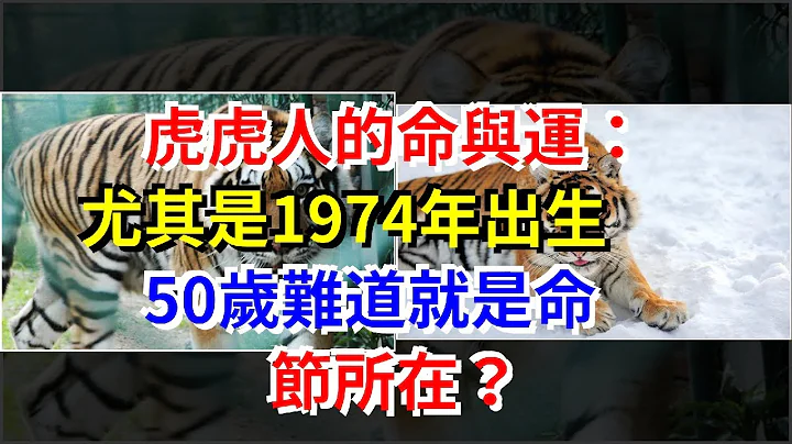 虎虎人的命与运：尤其是1974年出生，50岁难道就是命节所在？，[星座运势大全] - 天天要闻