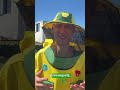Как пчеловоды кочуют с пчёлами 🐝