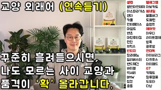 교양있는 일상대화를 위해 꼭 필요한 외래어 연속 듣기 (29-32강) screenshot 3