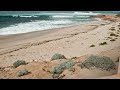 Westall Cove Eyre Peninsula South Australia