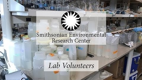 Lab Volunteers--2017 Citizen Science Newsletter