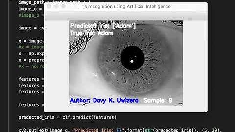 Promoting Artificial Intelligence in Africa: Iris recognition