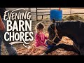 Evening Barn Chores | Feeding Horses &amp; Barn Cats