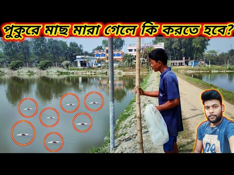 ভিডিও: কিভাবে ডলফিন সংরক্ষণ করবেন (ছবি সহ)