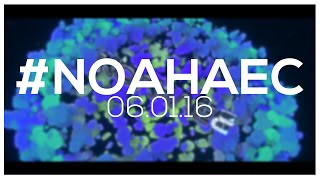#NoahAEC • The Results