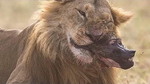 Statistics, modeling, and finance, Chapter 1, Pages 29-30, Graphing/Random and Negative Relationship