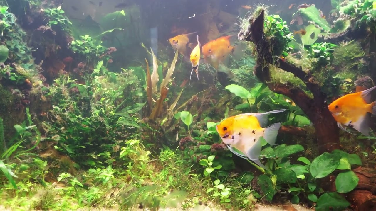 Ocet, pożywką dla bakteri.