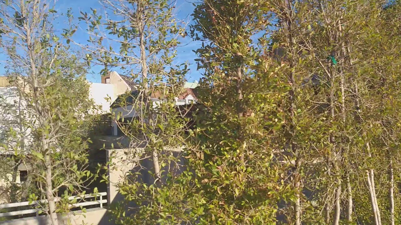 Universal Studios Hollywood. Smoking area. The one and only. YouTube