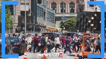 White Americans will become minority group by 2045: Census analysis | Morning in America