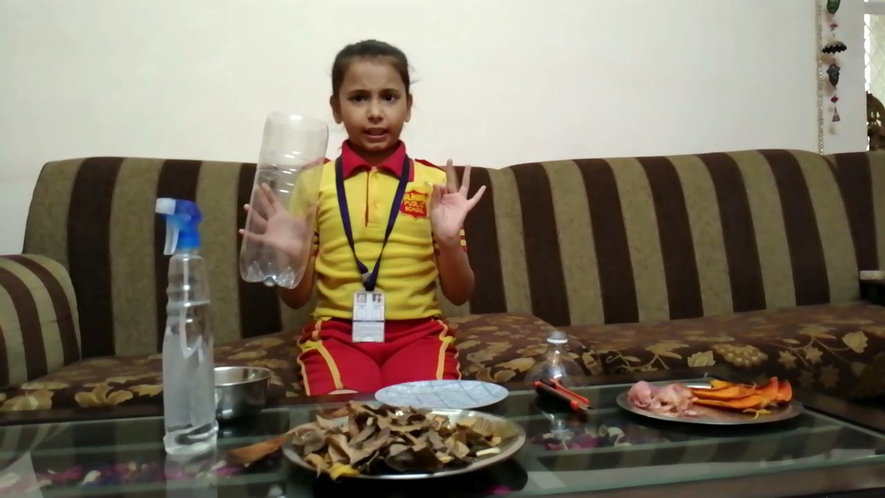 Science Project: Biocomposter