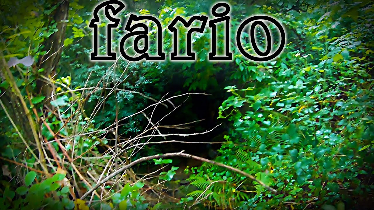fario.Ep159