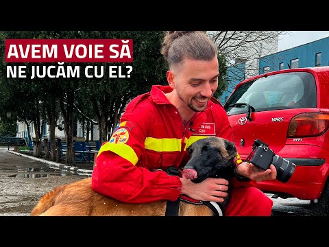 Video: Cum mi-am cunoscut câinele