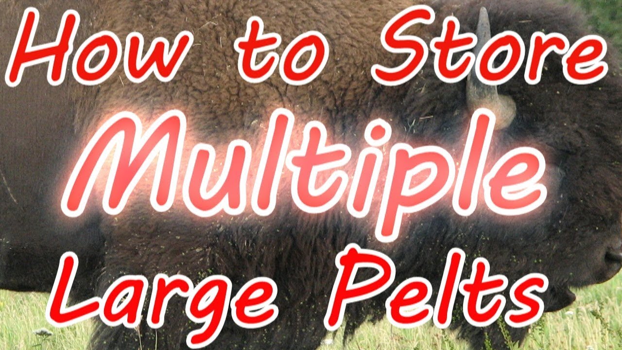 Redemption 2 How To Large Pelts - YouTube