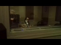 كواليس تسجيل موسيقى أغنية ياطيرة طيري ياحمامة شهد برمدا عبود برمدا وعازفةالبزق رأفت بوحمدان