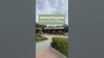 Ultimate Animal Kingdom Rope Drop Strategy🦒🌿🐘 #animalkingdom #disneyworld #disneytips #disneypark