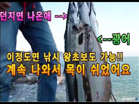 액션 필요없이 던지고 감기만해도 엄청난 입질과 지그헤드 광어루어낚시