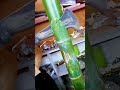 unique machete for cutting bamboo #shorts