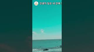내인생의답은 내안에 있다#성공 #명언 #책도리 #좋은글 #인생조언