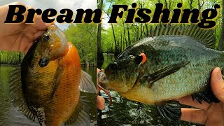 " bream fishing, catching Shell crackers and blue gills - tips and tricks "