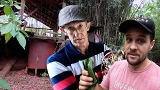 Preserves a DISTILLERY surrounded by JUNGLE in Misiones
