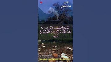 حالات واتساب دينيه ستوريات انستا قصيره قران الكريم 🌸القارئ لقمان السلطاني