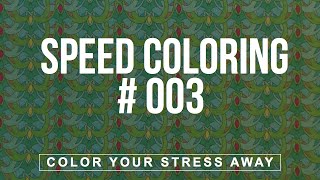 Coloring book for Adults : Color Your Stress Away #03