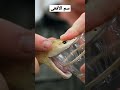 شاهدوا السم الذي استخرجوه من هذه الأفعى Shorts قصص 