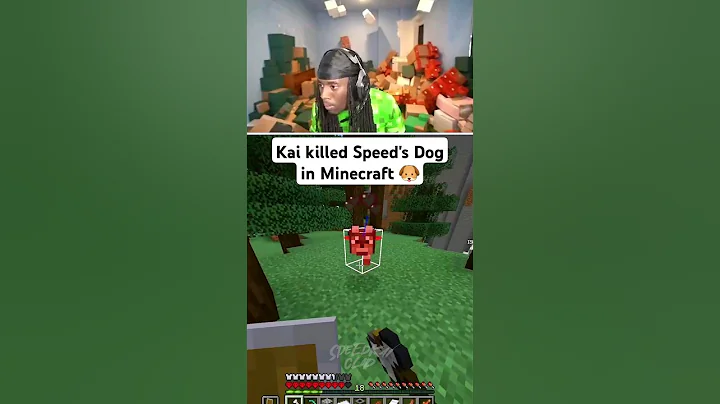 KAI KILLED SPEED'S DOG IN MINECRAFT🐶 #minecraft #ishowspeed #kaicenat