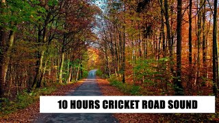 CRICKETS ROAD SOUNDS - 10 HOURS