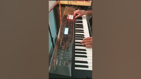 Roland XPS 30 Indian| Ridan|pakhawj| #music #song #xps30 #ridma #shorts #shortsvideo