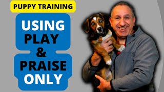 Fun And Effective Puppy Training: Play And Praise Only