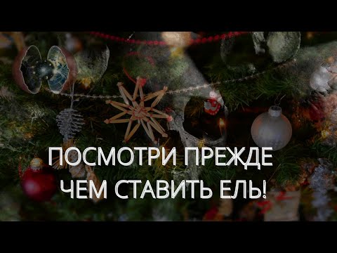 Раньше в домах НЕ СТАВИЛИ ЕЛЬ | Дерево смерти