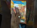 canvas🔥🔥🔥 #trending #viral #shortsvideo #youtubeshorts #shortvideo #art #trendingshorts