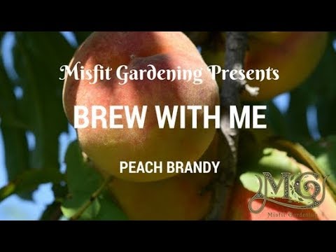 how-to-make-peach-flavored-brandy-liqueur