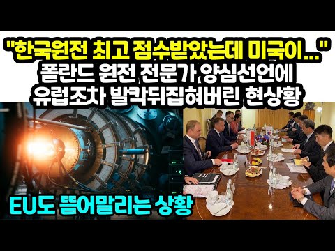 &amp;quot;<strong>한국원전</strong> 최고 점수받았는데 미국이...&amp;quot; 폴란드 원전 전문가 양심선언에 유럽조차 발칵뒤집혀버린 현상황 &amp;quot;EU도 뜯어말리는 상황&amp;quot;